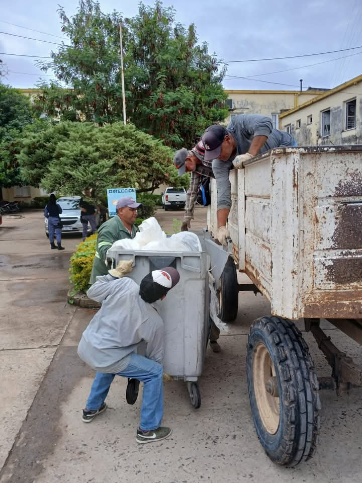 CON CUATRO CAMIONES EL MUNICIPIO RECORRE LA CIUDAD REALIZANDO LA RECOLECCION DE RAMAS