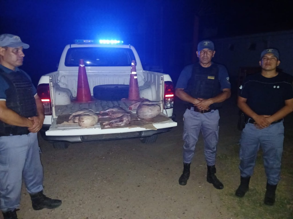 Enrique Urien: DETIENEN A UN JOVEN POR TRANSPORTAR CARNE DE DUDOSA PROCEDENCIA 