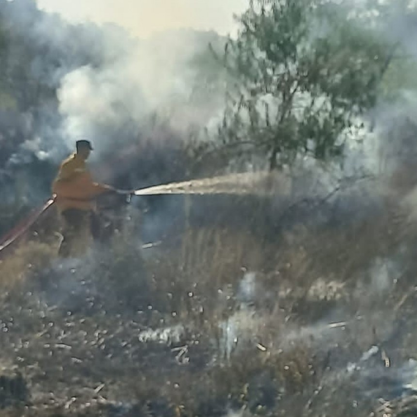 Acceso Norte: Un incendio sobre la banquina afecto 80 M? de terreno