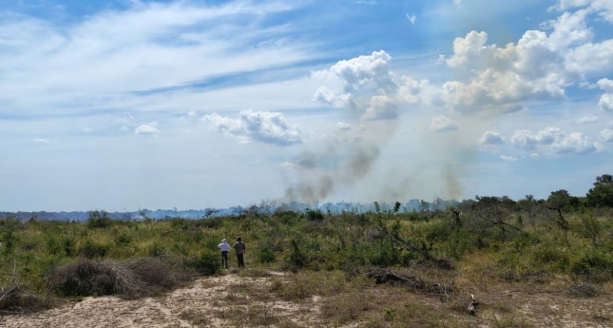 Villa Berthet: BOMBEROS SOFOCARON UN INCENDIO FORESTAL EN DONDE SE AFECTO 30 HECT&Aacute;REAS 
