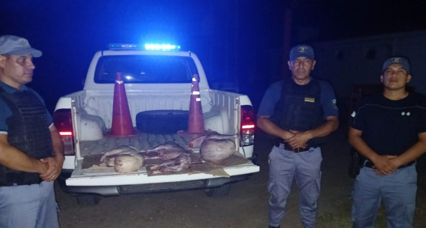 Enrique Urien: DETIENEN A UN JOVEN POR TRANSPORTAR CARNE DE DUDOSA PROCEDENCIA