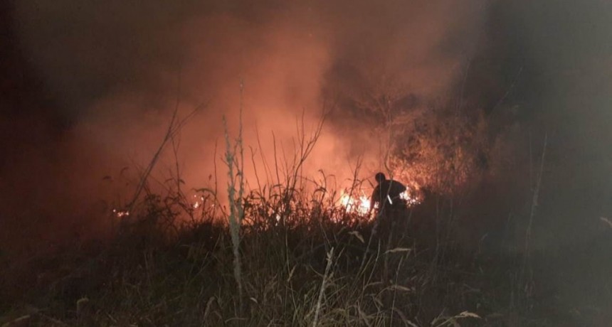 Contin&uacute;an los incendios forestales en toda la provincia