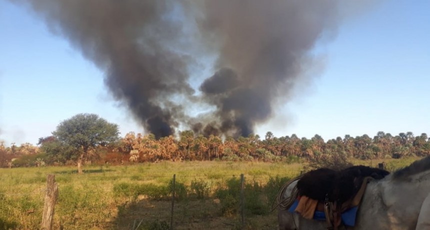 Enrique Urien: INCENDIO DE GRAN MAGNITUD EN EL LOTE 13 DE LA LOCALIDAD