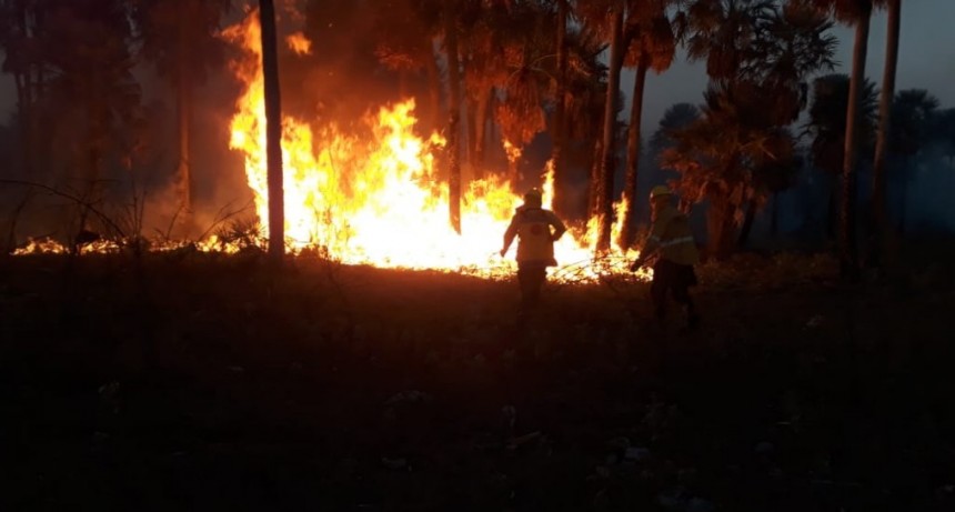 Enrique Urien: INCENDIO EN UN CAMPO EN EL LOTE 12 CONSUMI&Oacute; 250 HECT&Aacute;REAS DE TERRENO.