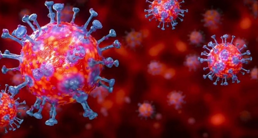 Villa &Aacute;ngela: EL PARTE EPIDEMIOL&Oacute;GICO INFORM&Oacute; 12 CASOS DE CORONAVIRUS DEJANDO UN TOTAL DE 1.949 CASOS DESDE EL INICIO DE LA PANDEMIA