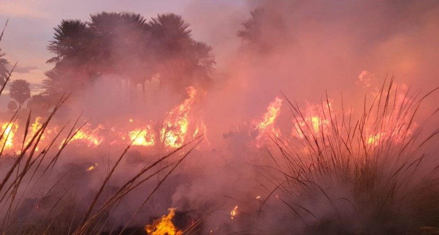 Villa &Aacute;ngela: 700 HECT&Aacute;REAS CONSUMIDAS POR EL FUEGO EN "LOS GANSOS" | CONTIN&Uacute;AN LOS TRABAJOS DE EXTINCI&Oacute;N.