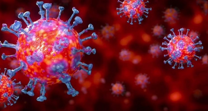 Villa &Aacute;ngela: EL PARTE EPIDEMIOL&Oacute;GICO INFORM&Oacute; 10 NUEVOS CASOS EN LA LOCALIDAD SUMANDO UN TOTAL DE 2.005 CASOS DE CORONAVIRUS