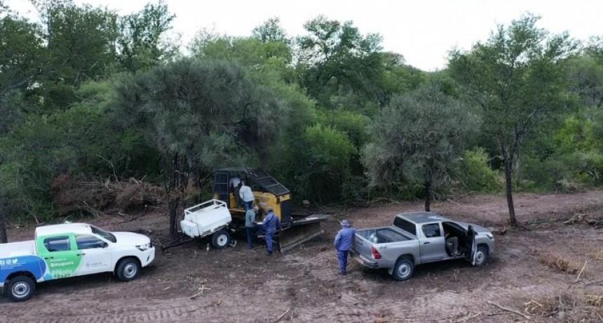 Nuevamente frenaron desmontes en Las Bre&ntilde;as: topadoras arrasaban en un predio de 50 hect&aacute;reas