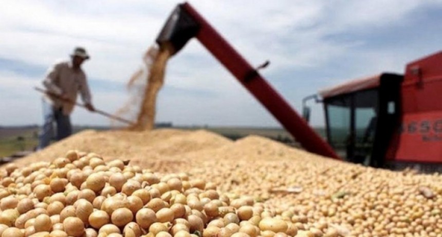 Las Bolsas de Cereales rechazaron el cierre de exportaciones de aceite y harina de soja