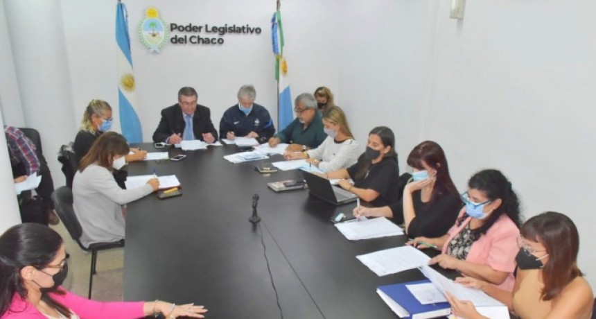 Este mi&eacute;rcoles podr&iacute;a tratarse el consenso fiscal en la Legislatura chaque&ntilde;a: hay dos proyectos