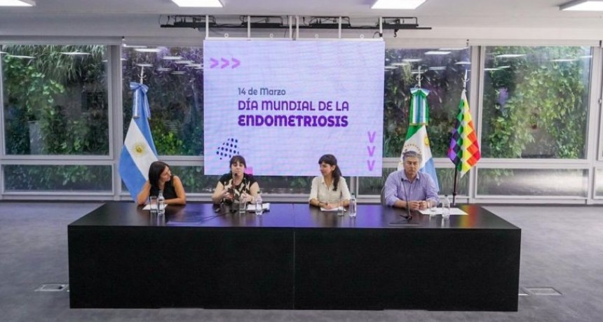 EL GOBIERNO PRESENT&Oacute; EL PLAN DE SALUD PARA PERSONAS CON ENDOMETRIOSIS