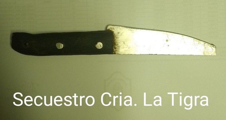 La Tigra: UN HOMBRE DE 42 A&Ntilde;OS FUE DETENIDO POR LESIONAR A SU PAREJA