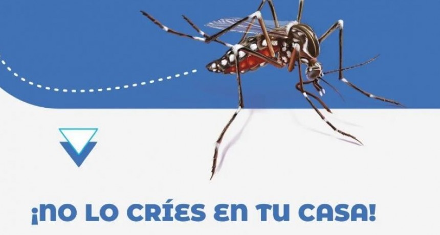 DENGUE: EL MINISTERIO DE SALUD P&Uacute;BLICA REITERA LA IMPORTANCIA DE LAS MEDIDAS PREVENTIVAS
