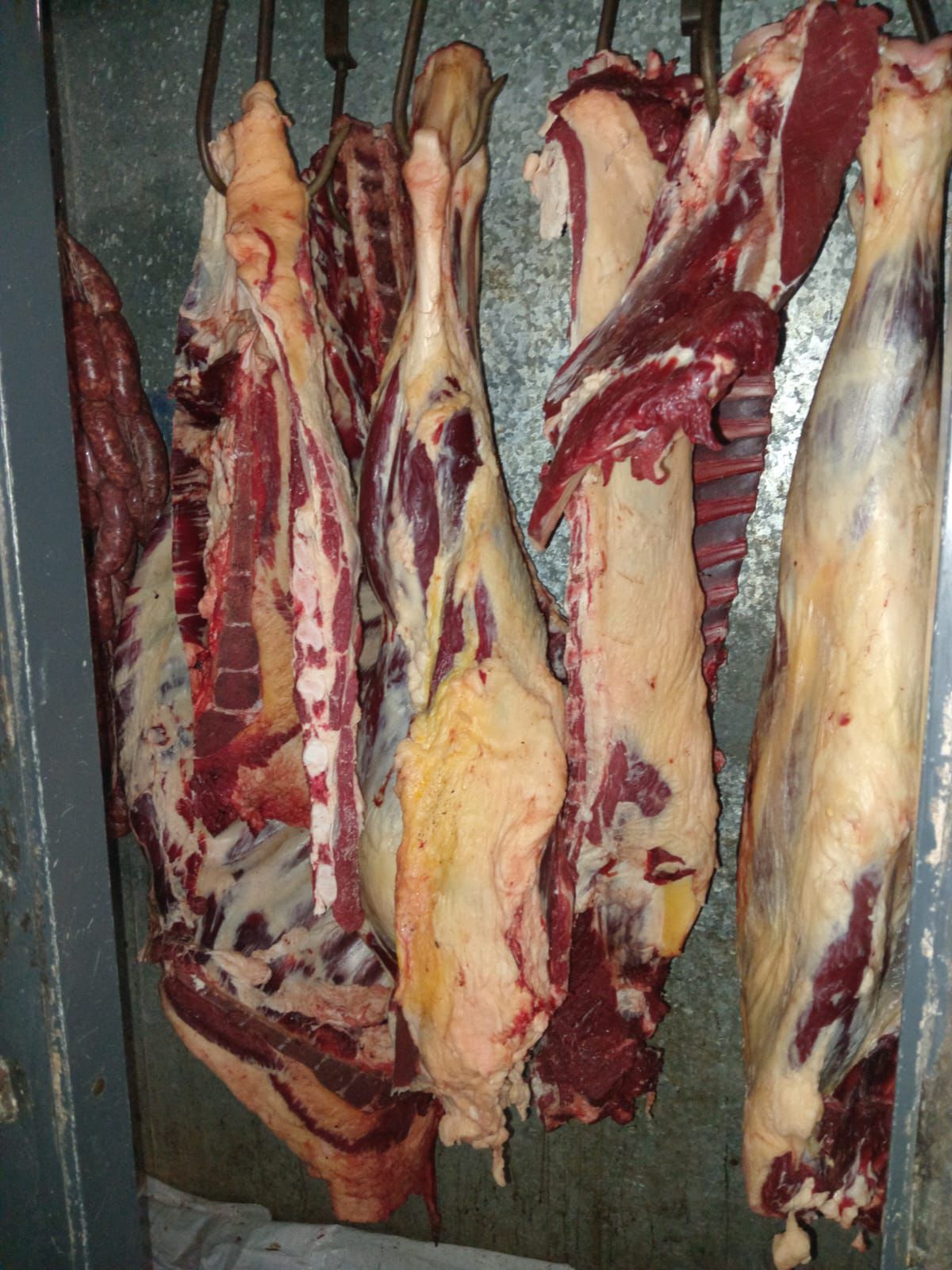 Villa Berthet: OPERATIVO CONTRA LA FAENA CLANDESTINA| SECUESTRAN 120 KILOS DE CARNE NO APTA PARA CONSUMO