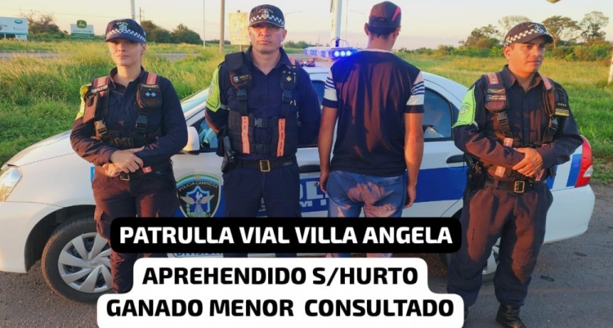 San Bernardo: POR HURTO DE GANADO MENOR | Polic&iacute;a Caminera detuvo a un joven de 29 a&ntilde;os 