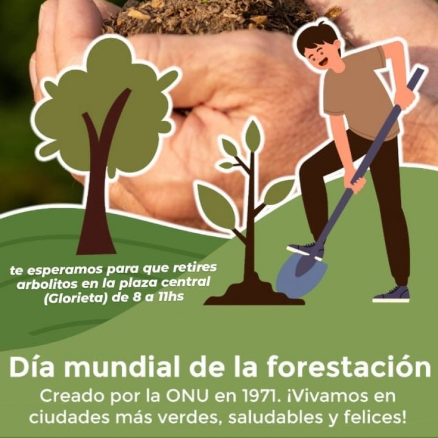 Villa &Aacute;ngela: MEDIO AMBIENTE ENTREGAR&Aacute; &Aacute;RBOLES EN EL D&Iacute;A MUNDIAL DE LA FORESTACI&Oacute;N