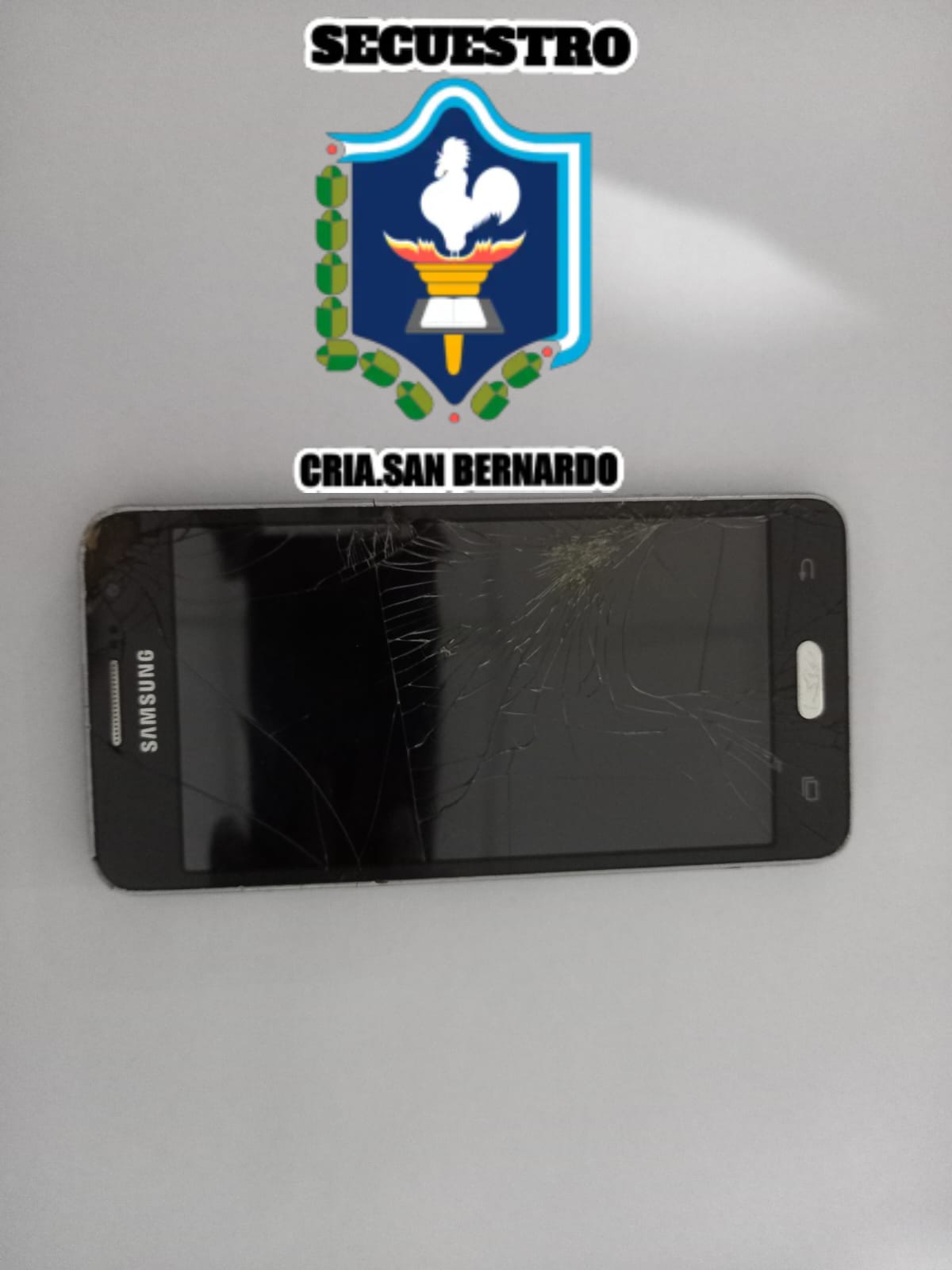 San Bernardo: SE LLEVARON SU CELULAR, PERO LOS AGENTES LO HALLARON