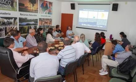 Proponen declarar la emergencia agropecuaria en seis departamentos del Chaco