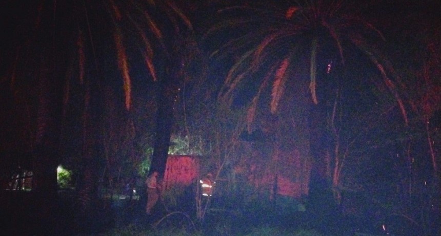 Villa &Aacute;ngela: BOMBEROS EXTINGUI&Oacute; EL INCENDIO DE CUATRO PALMERAS 