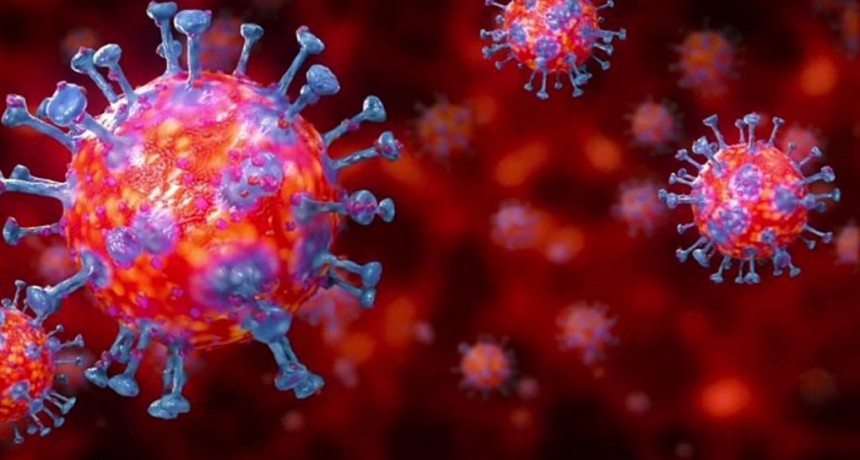 Villa &Aacute;ngela: EL PARTE EPIDEMIOL&Oacute;GICO INFORM&Oacute; 9 NUEVOS CASOS EN LA LOCALIDAD SUMANDO UN TOTAL DE 2.118 CASOS DE CORONAVIRUS