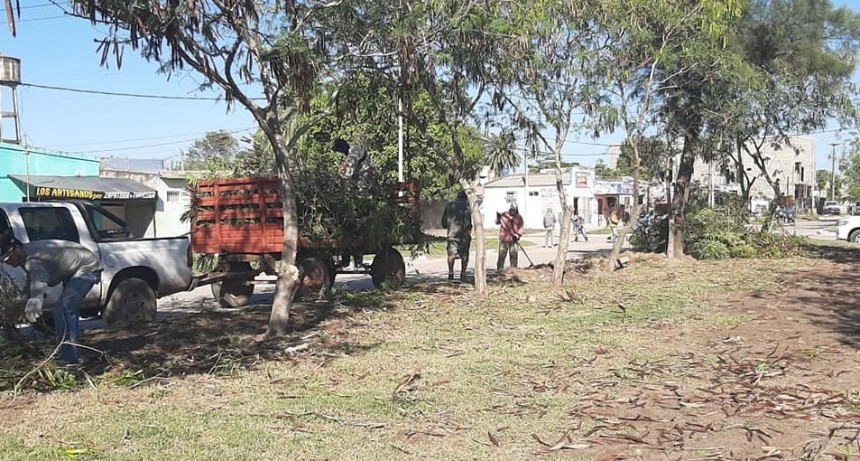 Villa &Aacute;ngela: LA MUNICIPALIDAD REALIZAR&Aacute; 10 CUADRAS DE VEREDA EN AV. BITTEL