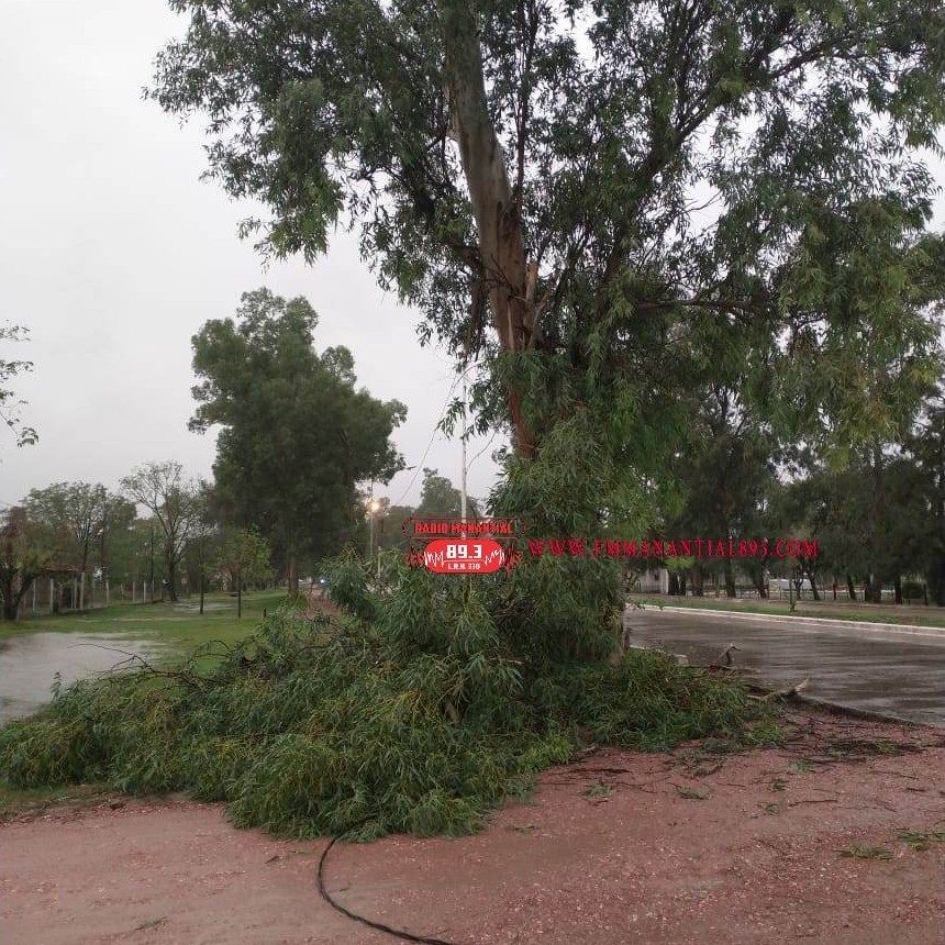 Villa &Aacute;ngela: EL TEMPORAL PRODUJO LA CA&Iacute;DA DE &Aacute;RBOLES QUE COMPLICARON LA LINEA DE ALUMBRADO P&Uacute;BLICO