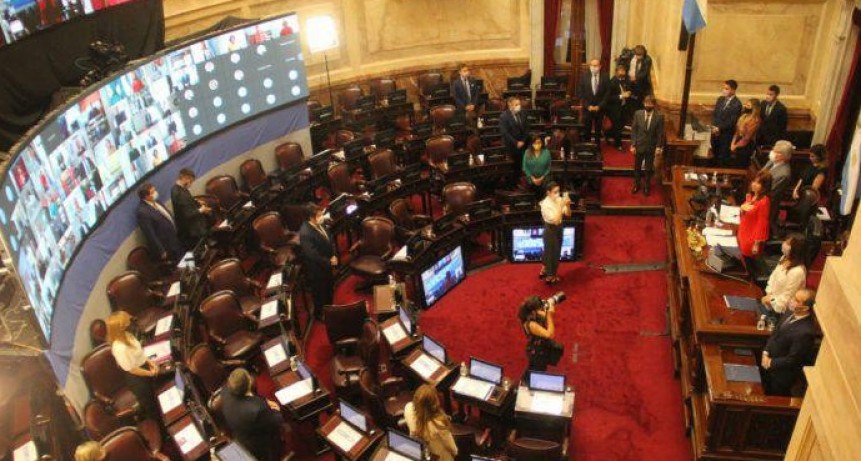 El Senado convirti&oacute; en ley la reforma del impuesto a las ganancias