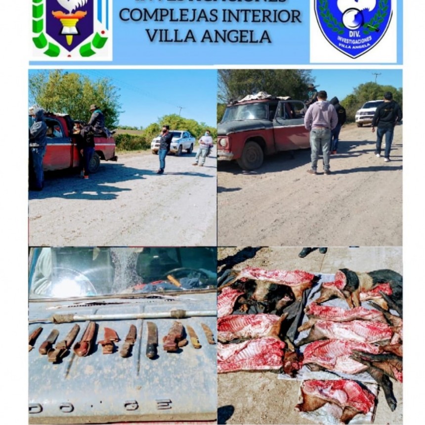 DEMORAN A 7 VILLANGELENSES QUE EVADIERON EL PUESTO POLICIAL DE "LOS GANSOS" CON 8 PORCINOS FAENADOS DE DUDOSA PROCEDENCIA.