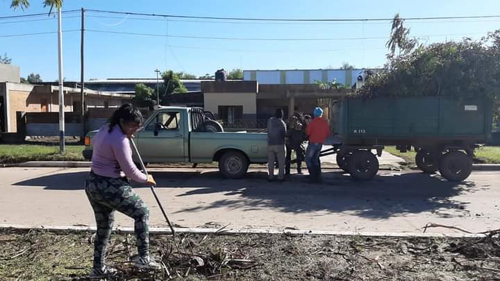 Villa Angela: EL MUNICIPIO REEMPLAZAR&Aacute; LOS &Aacute;RBOLES CA&Iacute;DOS EN LA TORMENTA POR NUEVOS EJEMPLARES