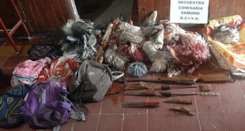 Samuh&uacute;: SEIS VILLANGELENSES FUERON DEMORADOS POR TRANSPORTAR &Ntilde;AND&Uacute;ES FAENADOS