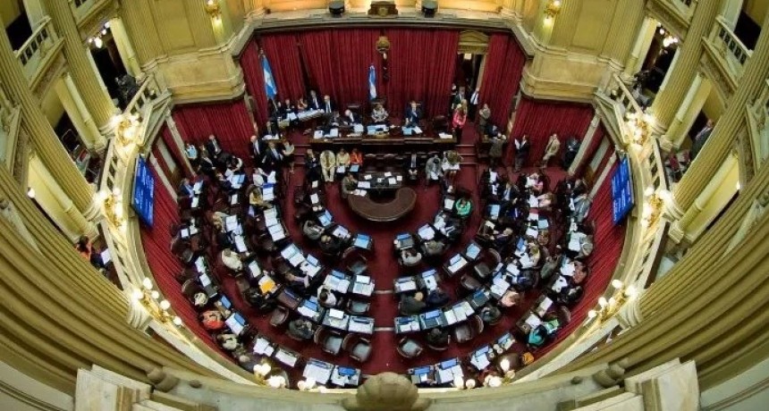 Debatir&aacute;n en el Senado por un proyecto de pago al FMI