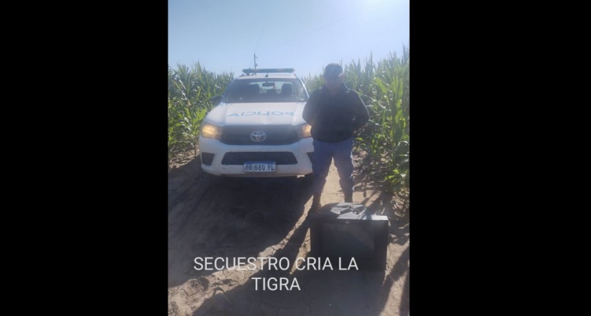 La Tigra: RECUPERAN UN TELEVISOR ROBADO DESDE UNA VIVIENDA