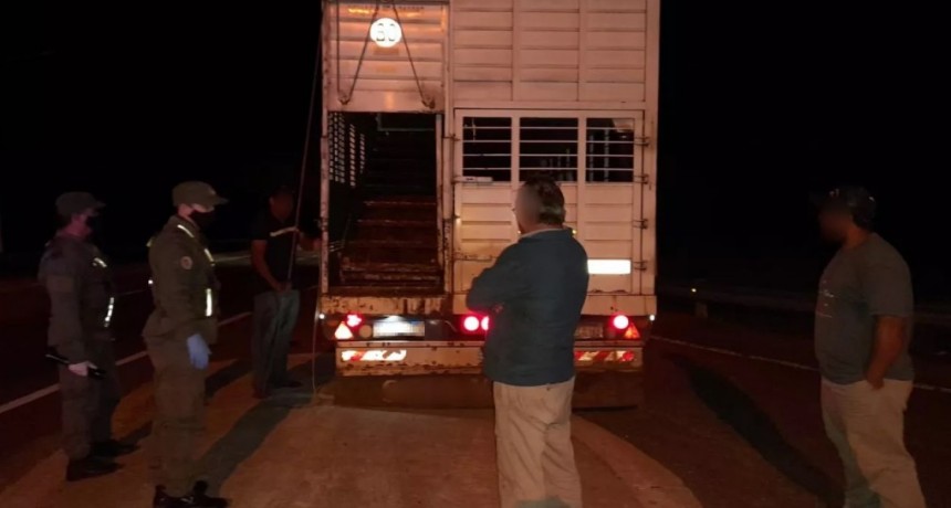 Ruta Nacional N&deg;16: Llevaba $5 millones escondidos en un cami&oacute;n