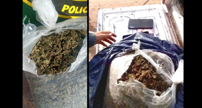 J. J. Castelli: Arroj&oacute; casi 2 kilos de marihuana huyendo en moto pero lograron atraparlo.