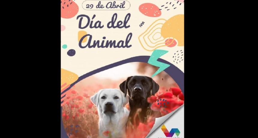 Villa &Aacute;ngela: EL MUNICIPIO JUNTO AL REFUGIO AZUL INVITAN A LA CELEBRACI&Oacute;N POR EL D&Iacute;A DEL ANIMAL