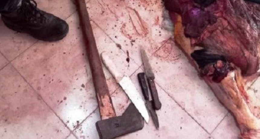San Bernardo: TRES DETENIDOS POR HURTO DE GANADO MAYOR