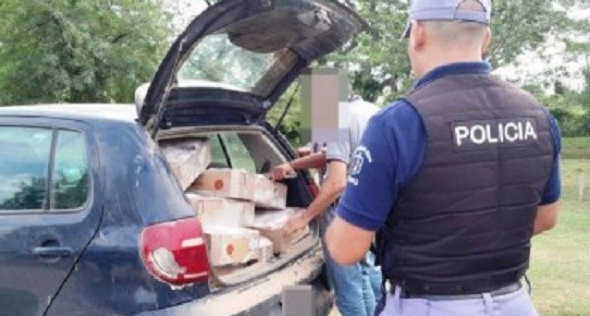 Colonias Unidas: 150 KILOS DE POLLO INCINERADO POR TRASPORTE ILEGAL
