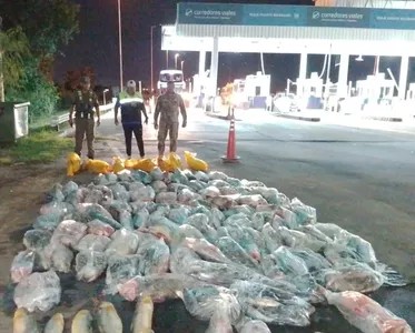 SECUESTRARON M&Aacute;S DE 800 KILOS DE PESCADO QUE TRANSPORTABAN ILEGALMENTE 