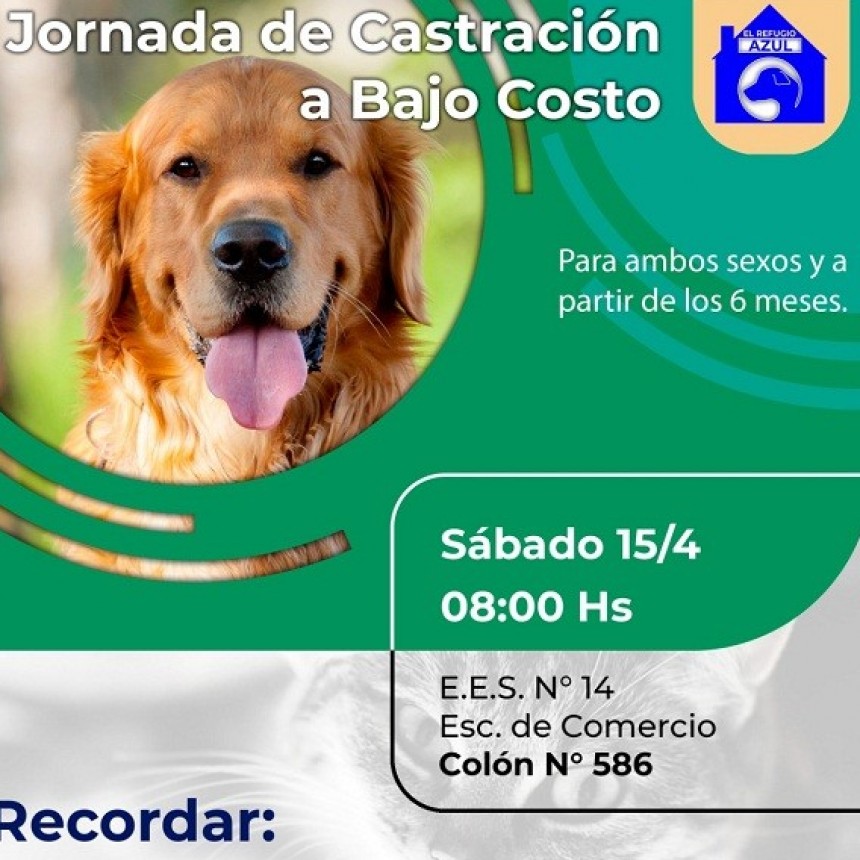 Villa &Aacute;ngela: EL MUNICIPIO ACOMPA&Ntilde;A LA 4&ordf; JORNADA DE CASTRACI&Oacute;N A BAJO COSTO 2023