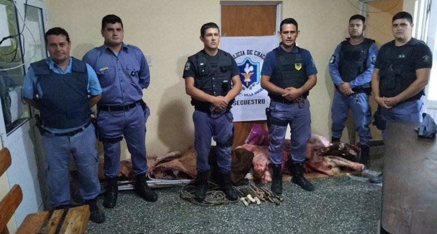 Villa &Aacute;ngela:  SECUESTRAN ANIMAL VACUNO FAENADO SIN DOCUMENTACION