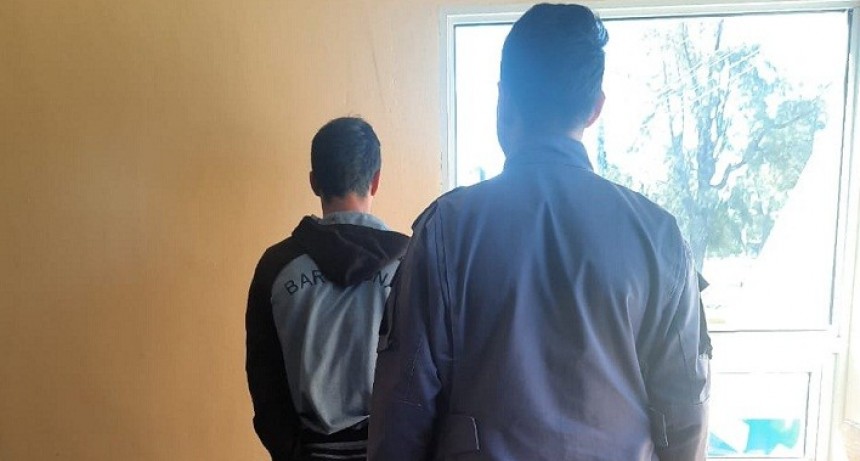 Villa &Aacute;ngela: DETIENEN A UN JOVEN POR EL SUPUESTO HURTO DE UN PITBULL DE 4 MESES