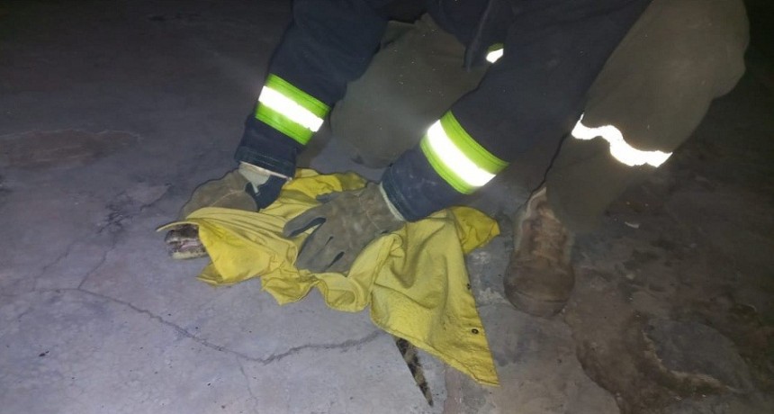 Villa &Aacute;ngela: BOMBEROS RESCATAN UN YACAR&Eacute; QUE SE ENCONTRABA EN LA V&Iacute;A PUBLICA 