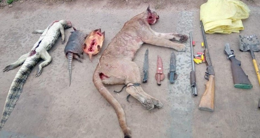 Enrique Urien: JUNTO A UN NI&Ntilde;O, CAZARON A UN PUMA Y UN YACAR&Eacute;
