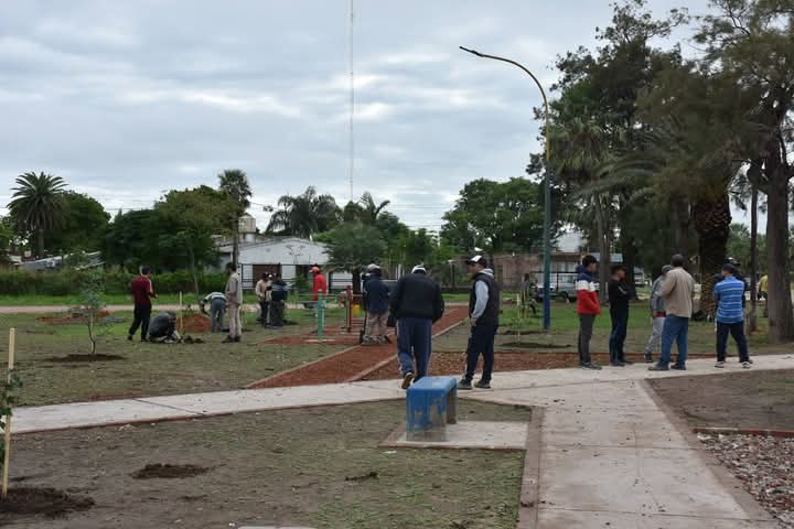 REFORESTACI&Oacute;N EN PLAZA G&Uuml;EMES, ACCESO NORTE Y AVENIDAS DE VILLA &Aacute;NGELA