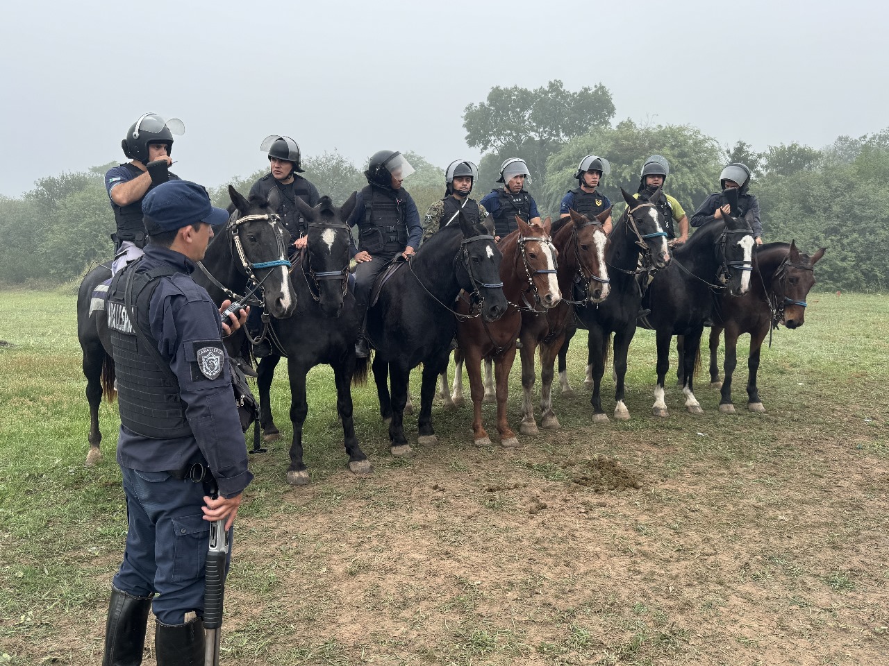 PARA PONER ORDEN  LA POLICIA RURAL SE PERFECCIONA EN MANIOBRAS EQUINAS
