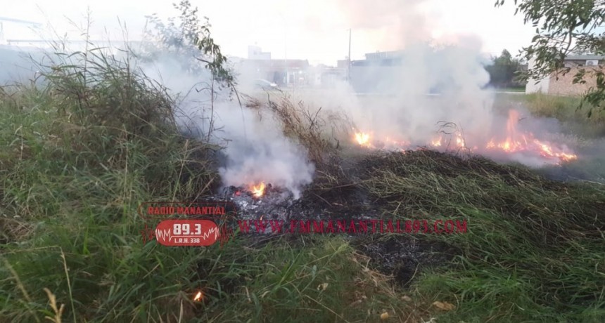 Villa &Aacute;ngela: Dos nuevos incendios provocados el d&iacute;a de hoy