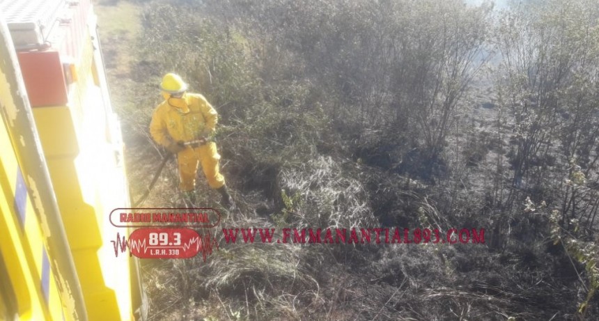Villa &Aacute;ngela: Incendio de pastizal es sofocado por el personal de Bomberos