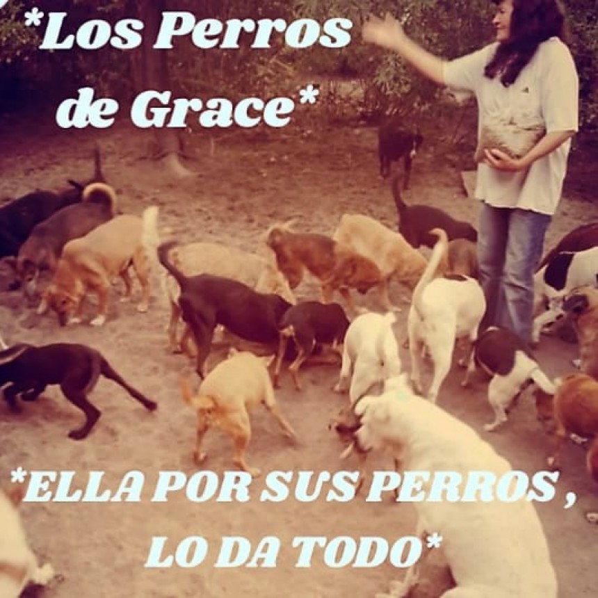 Villa &Aacute;ngela: &ldquo;Los Perros de Grace&rdquo;, un grupo brindando puro amor a los perros.