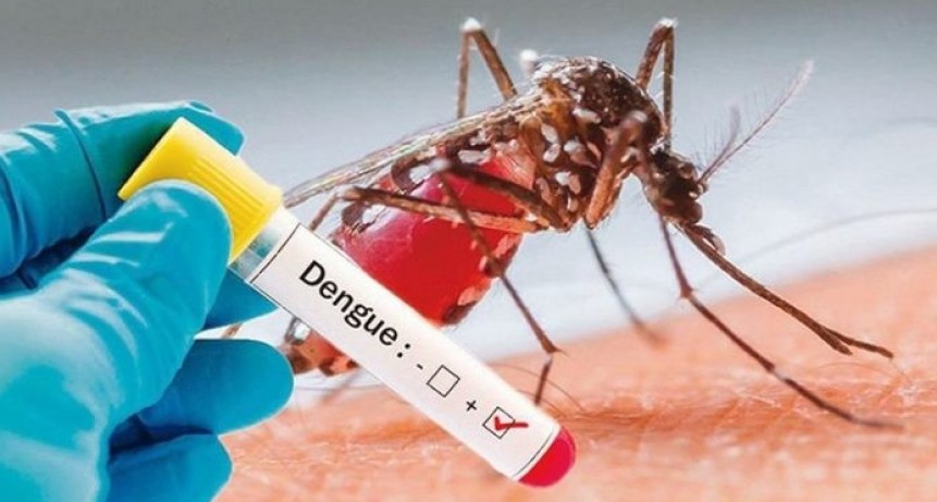 Villa &Aacute;ngela: UN CONCEJAL CONTRAJO DENGUE