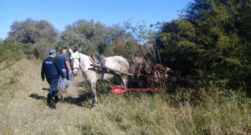 Villa &Aacute;ngela: DETIENEN A DOS PERSONAS POR ROBAR MADERA DE ALGARROBO EN UNA QUINTA
